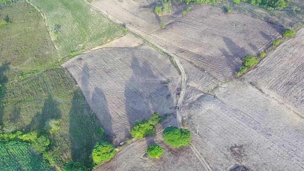 7.281 m2 đất trồng mía tại đắk lắk