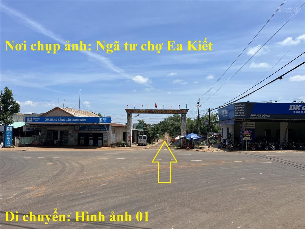 8 sào gỗ tếch tại cư mgar tỉnh đắk lắk