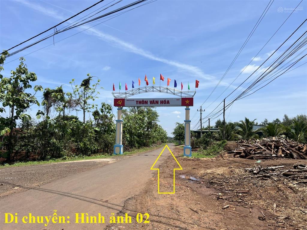 8 sào gỗ tếch tại cư mgar tỉnh đắk lắk