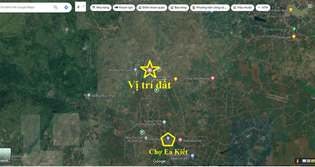 8 sào gỗ tếch tại cư mgar tỉnh đắk lắk