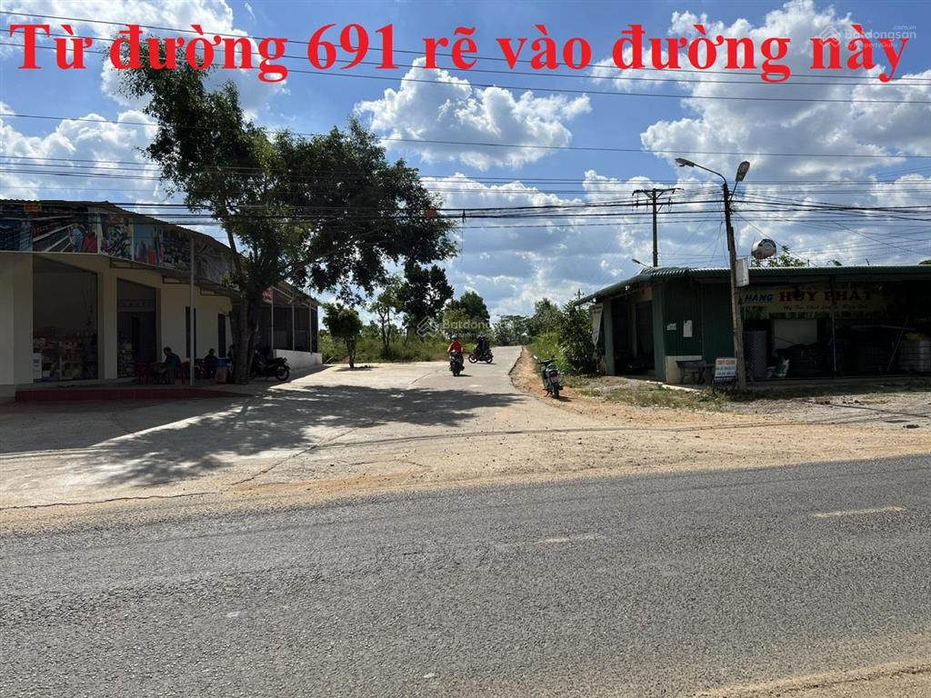 7 sào đất trồng chuối tại đắk lắk