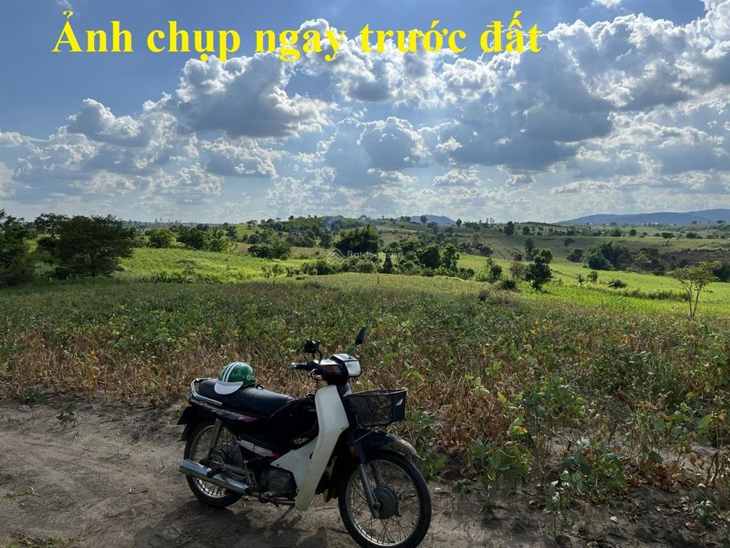 Bán 8 sào đất tại ea kar, tỉnh đắk lắk