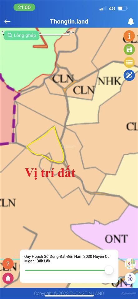8 sào gỗ tếch tại huyện cư mgar, đắk lắk