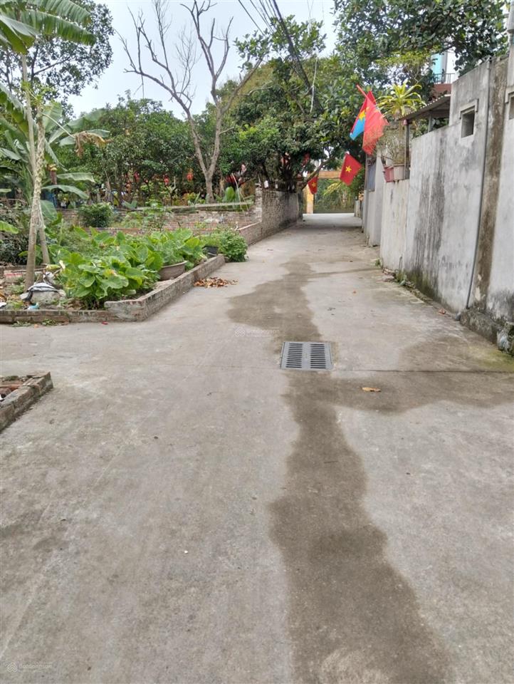 Xóm đườngphúc thịnh (nguyên khê) sang tên giá tốt, ngay cạnh x3 nguyên khê khu đấu giá gần trường