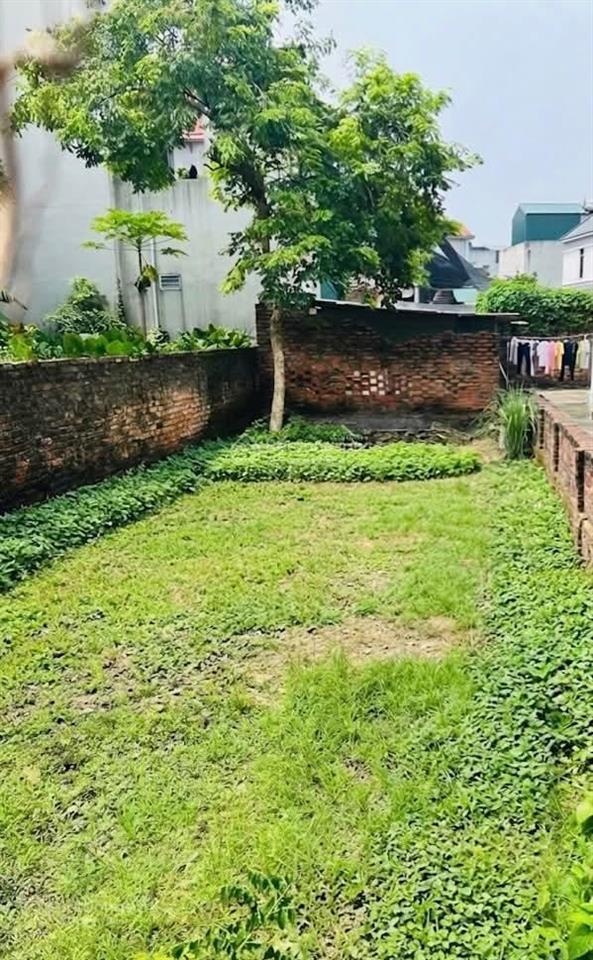 Cần bán 155m2 trung oai giao công viên bìa làng trục chính gần chợ và trường học