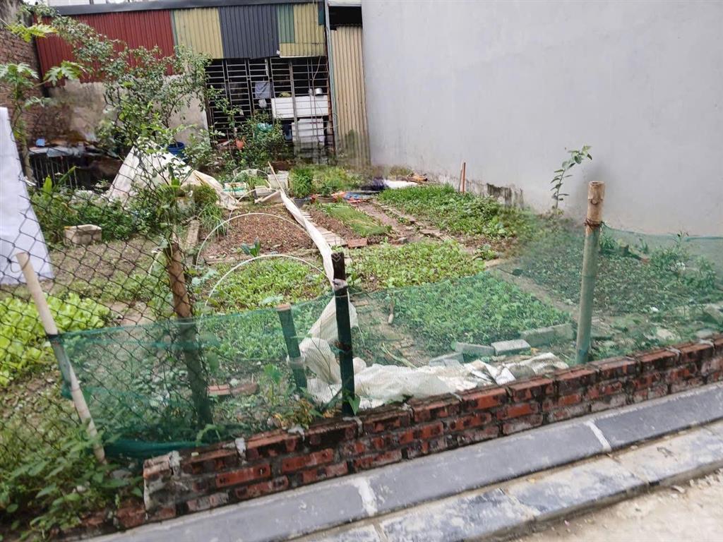 Hàng hiếm phù hợp ở và đầu tư tại vân nội đông anh chỉ nhỉnh 3 tỉ có ngay gần 50m đường thông ô to