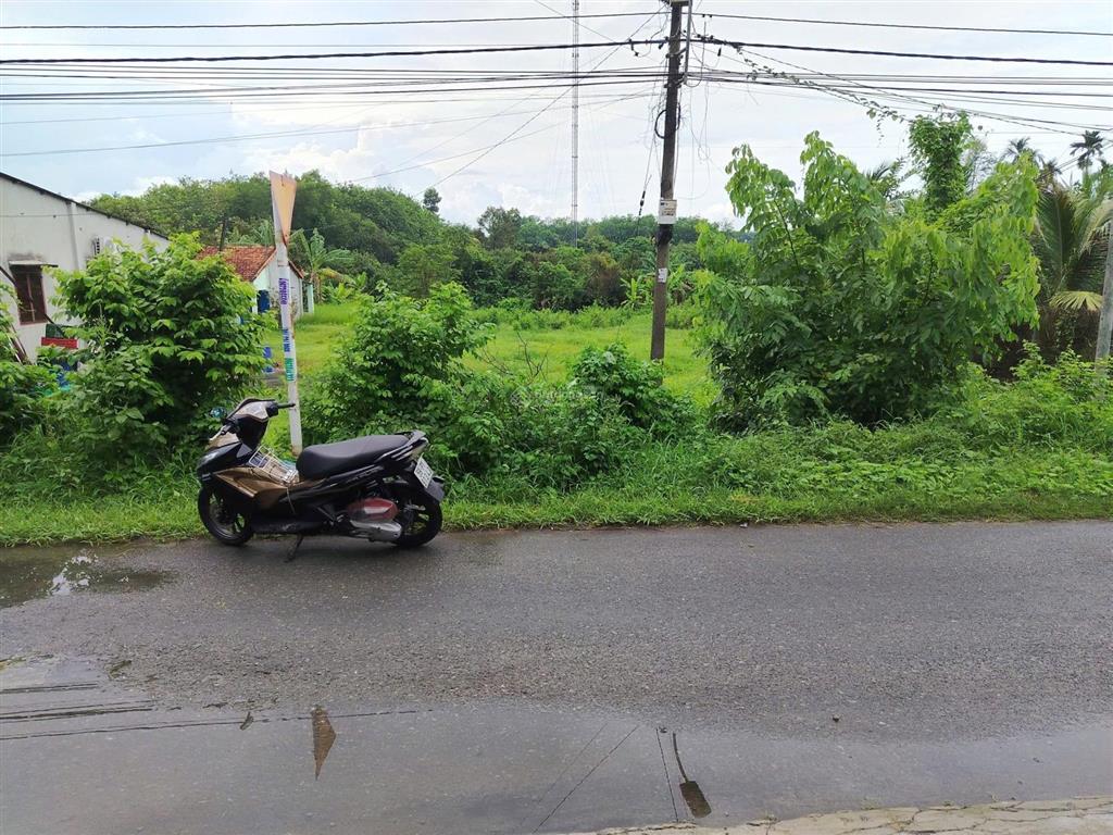 Gần 3000m2 có 650 thổ mặt tiền nhựa nguyễn thị dòn giá chưa chỉ 2tr7/m2 còn bớt