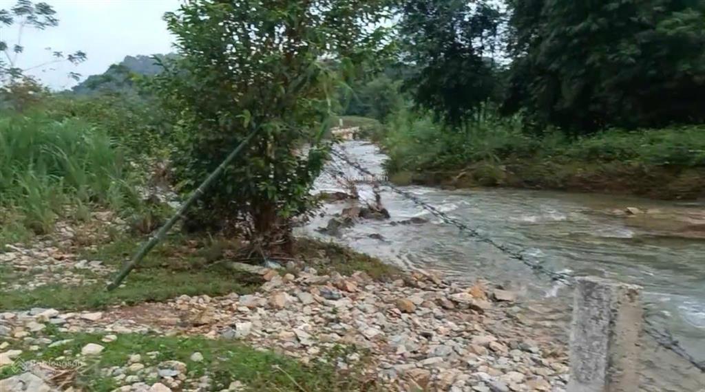 Sở hữu ngay 2.600m² đất bám suối, nhà sàn sẵn có chỉ 1,8 tỷ