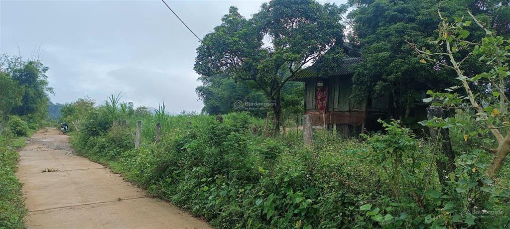 Sở hữu ngay 2.600m² đất bám suối, nhà sàn sẵn có chỉ 1,8 tỷ