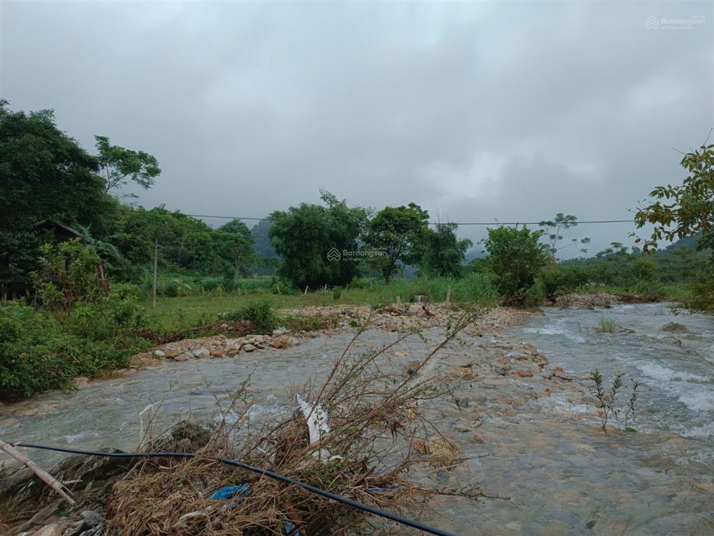 Sở hữu ngay 2.600m² đất bám suối, nhà sàn sẵn có chỉ 1,8 tỷ