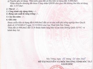 Bán kho, nhà xưởng ,cây xăng tại nam sông hậu, cần thơ, 148 tỷ, 21227.5 m2. giá yêu thương đầu năm