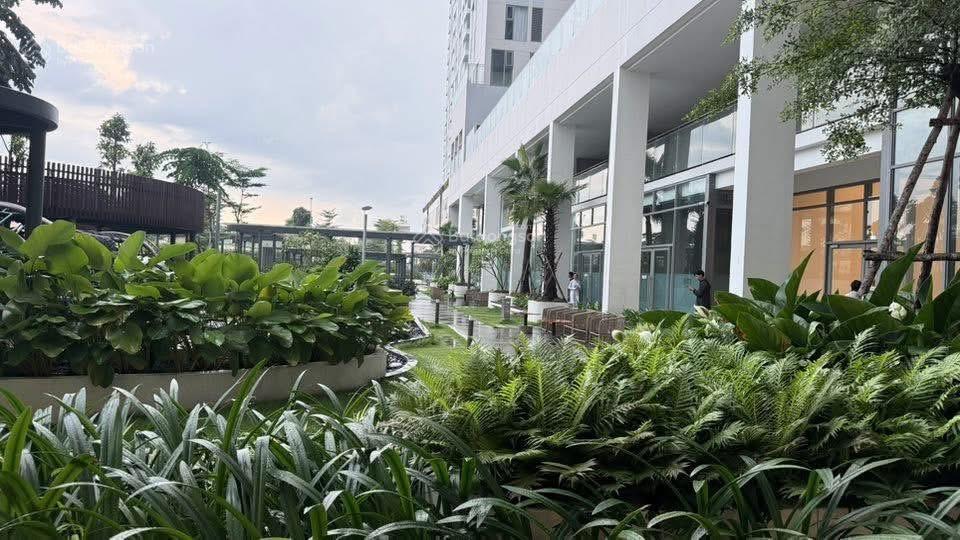 Full căn 13pn sang nhượng urban green giá tốt t4. từ 5ty240  5ty7 cho 2pn . alo e nhâm chuyên ub