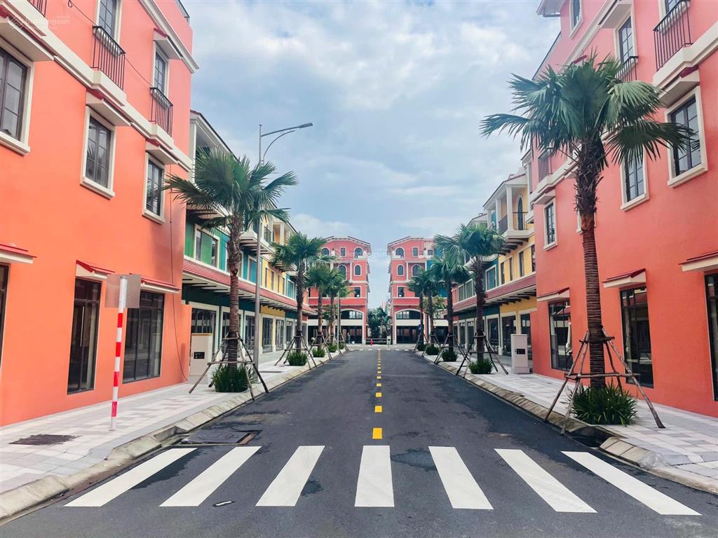 Rổ hàng nhà phố t&t tam đa gđ1. chính sách hỗ trợ lãi suất 2 năm . nhận nhà ngay 2026 . mở bán gđ1