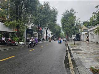 Bán nhà 5 tầng hẻm xe hơi, p. tân định. quận 1