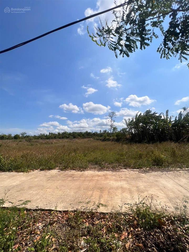 2400m2 thổ cư 100m2 giá bán 580tr/sào sát nhựa xuân tây 35m mặt tiền bê tông đất bằng + đường thông