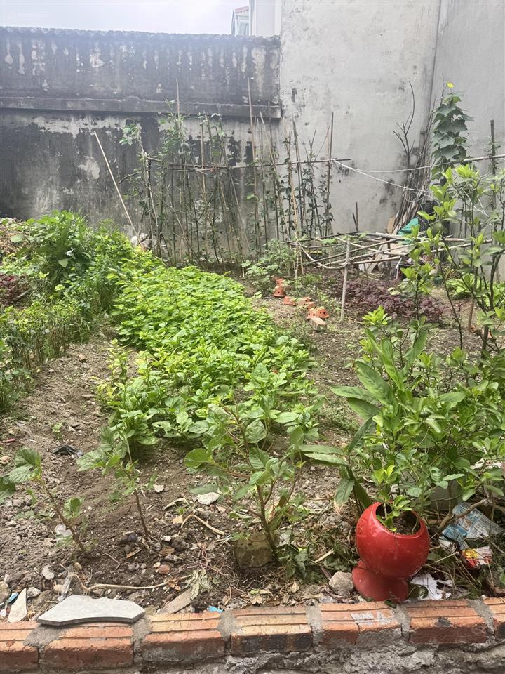 Bán cắt lỗ 58m trung tâm thị trấn đông anh  cạnh chợ  chủ cần tiền nên bán giá sốc