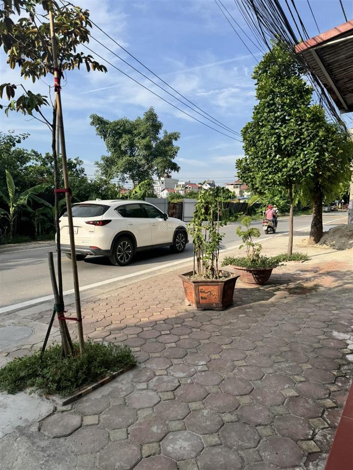 Bán gấp! đất thị trấn đông anh 55m vài bước ra ô tô tránh  giá 3,6 tỷ  cạnh chợ lắp ghép