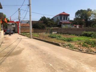 Cc cần thanh khoản nhanh lô góc 55,2m2 trạch mỹ lộc, phúc thọ, hà nội