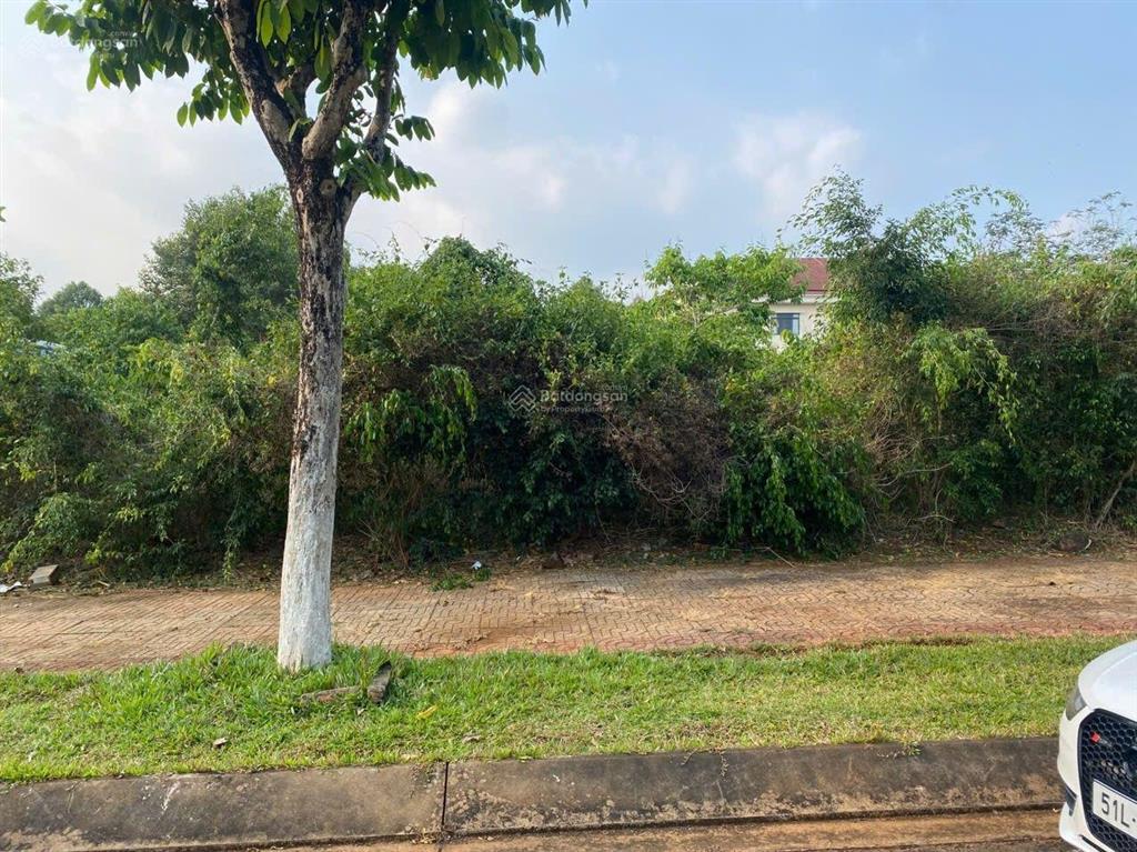 Bán gấp lô đất mặt tiền đường n6 nhựa thông 12m khu dịch vụ thương mại dầu giây.0909 450 ***