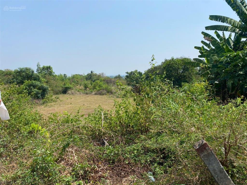 Bán gấp lô đất mặt tiền đường n6 nhựa thông 12m khu dịch vụ thương mại dầu giây.0909 450 ***