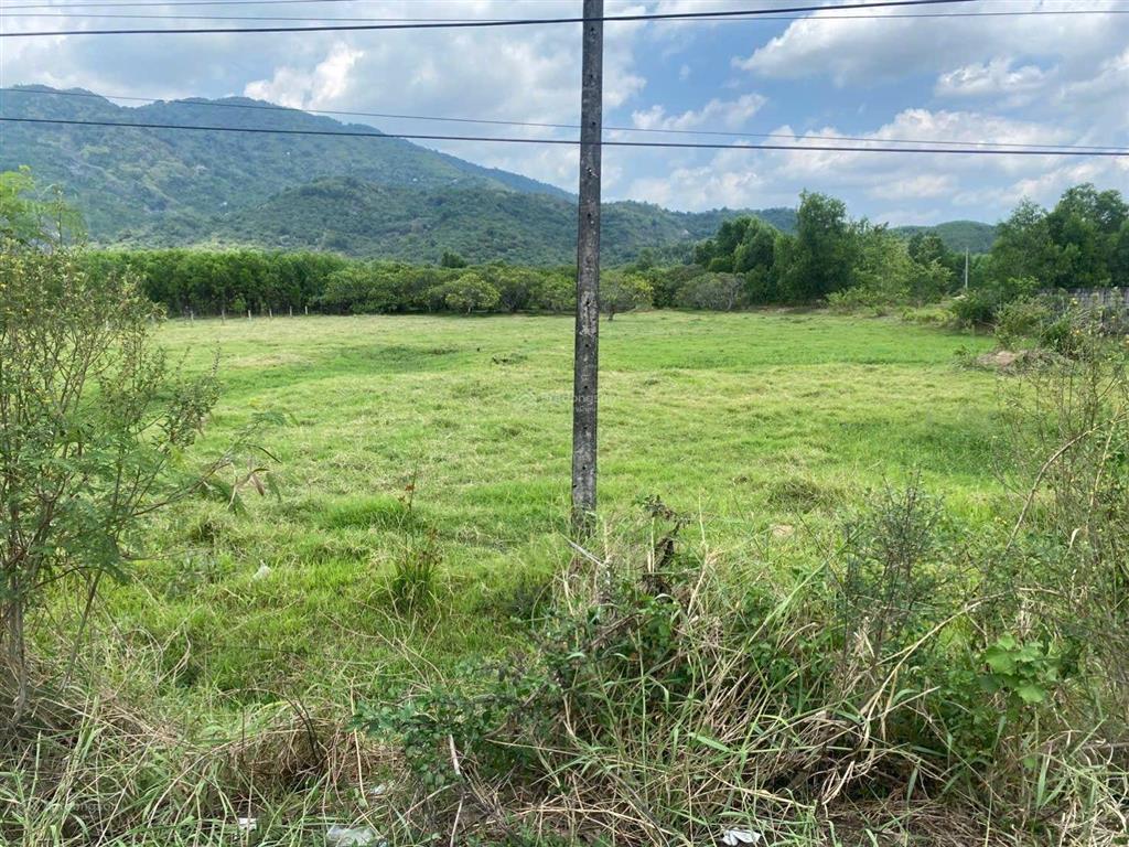 Bán gấp lô đất vàng tính lộ 763 vị trí đẹp kdc đông đúc tiện kinh doanh buôn bán nhiều thể loại.