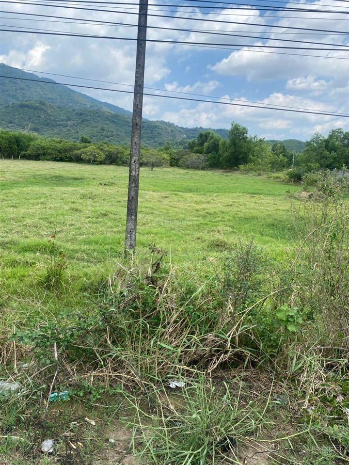 Bán gấp lô đất vàng tính lộ 763 vị trí đẹp kdc đông đúc tiện kinh doanh buôn bán nhiều thể loại.