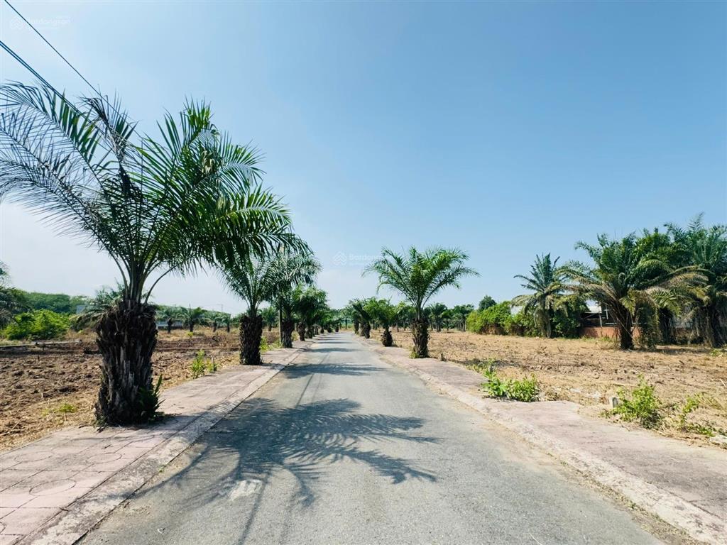 Tích sản tương lại cho con chỉ 550tr sở hữu lô đất sân bay long thành 100m2, sổ hồng riêng
