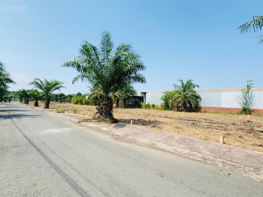 Tích sản tương lại cho con chỉ 550tr sở hữu lô đất sân bay long thành 100m2, sổ hồng riêng