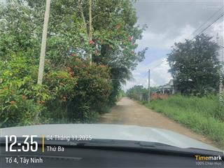 Chính chủ bán đất thổ cư gần khu ub tân hiệp, tt tân châu, tây ninh