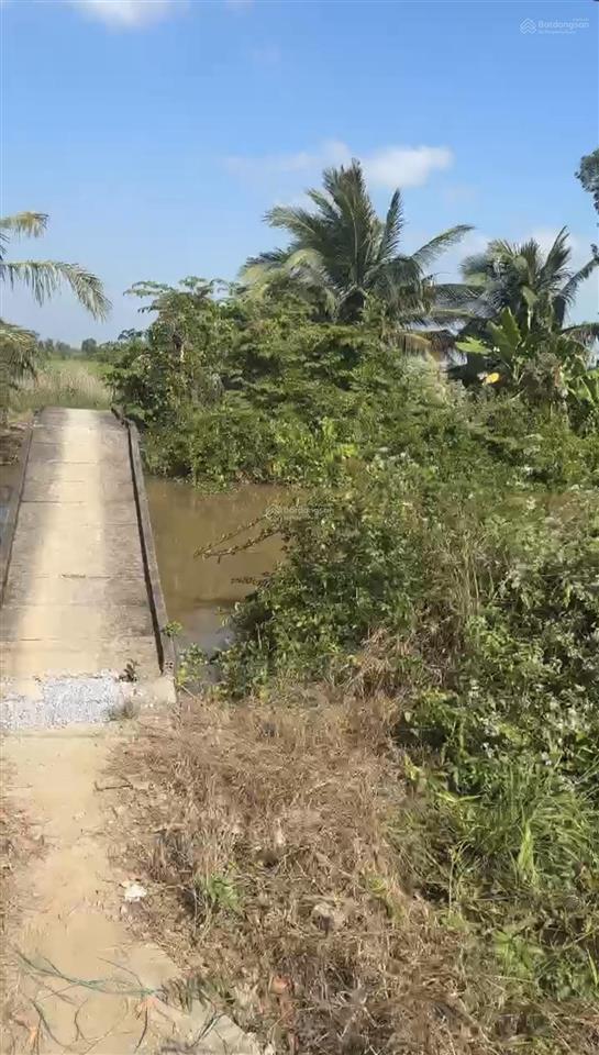 Bán đất lúa 24 công. 350tr/công