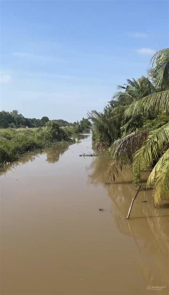 Bán đất lúa 24 công. 350tr/công