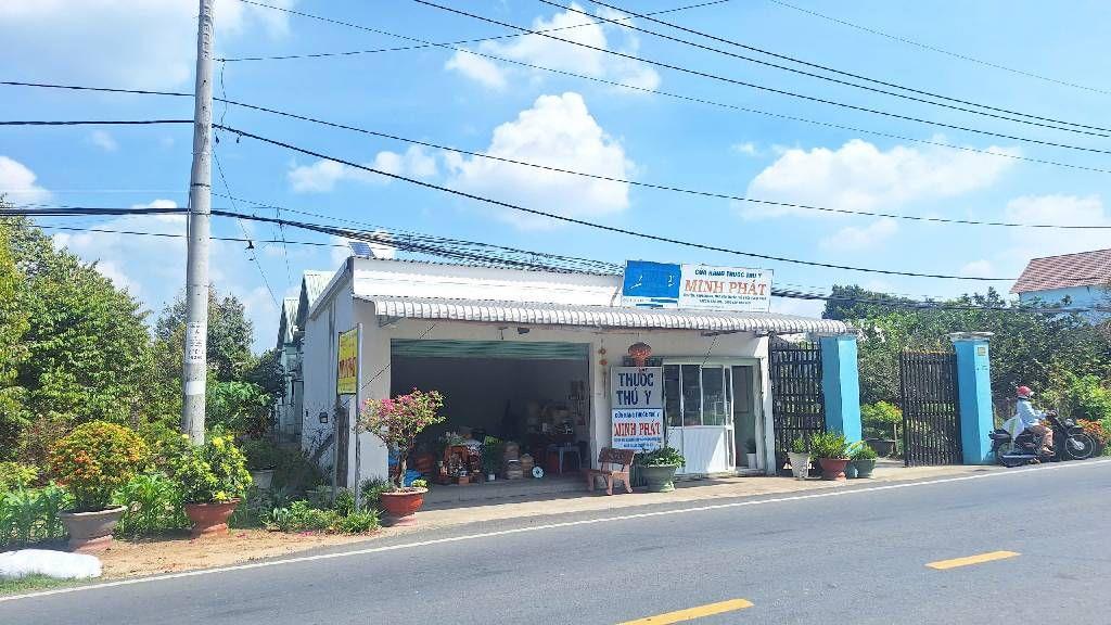 Bán Nhanh Đất, Mặt Tiền Tỉnh Lộ 15,An Nhơn Tây, Củ Chi 1800m2, Chỉ 35 tỷ