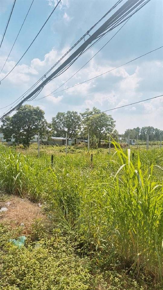 Bán Nhanh Đất, Mặt Tiền Tỉnh Lộ 15,An Nhơn Tây, Củ Chi 1800m2, Chỉ 35 tỷ