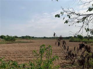 Đất Mặt Tiền - Hưng Long, Đa Phước, Bình Chánh 15000m² Chỉ  70 Tỷ,