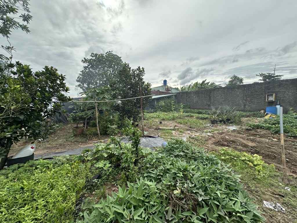BÁN GẤP - 1510m2 Đất MT Xuân Thới Thượng 4-1, Hóc Môn, 35 TỶ.