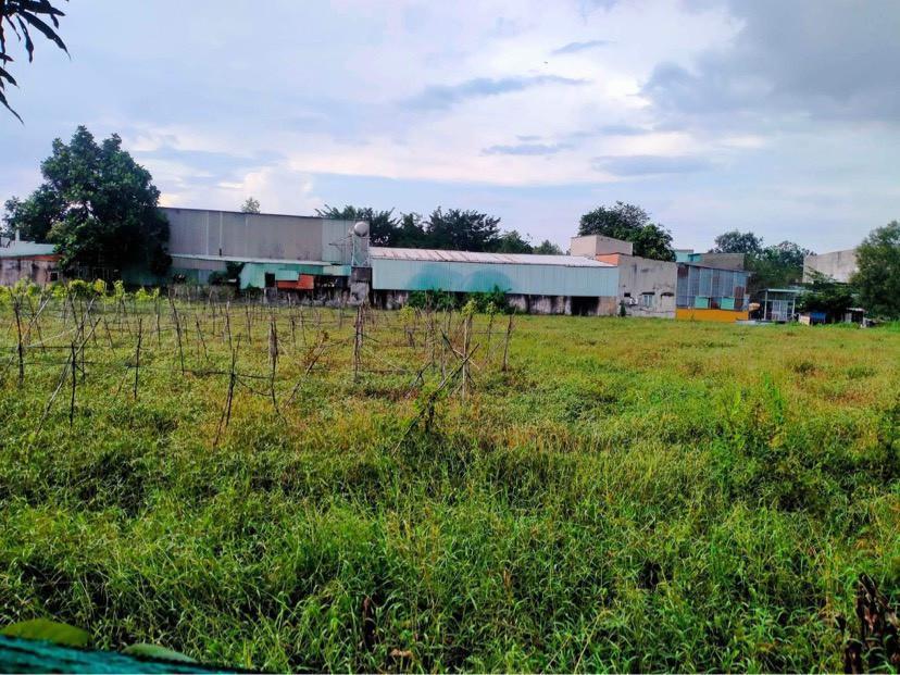 BÁN GẤP - 1510m2 Đất MT Xuân Thới Thượng 4-1, Hóc Môn, 35 TỶ.