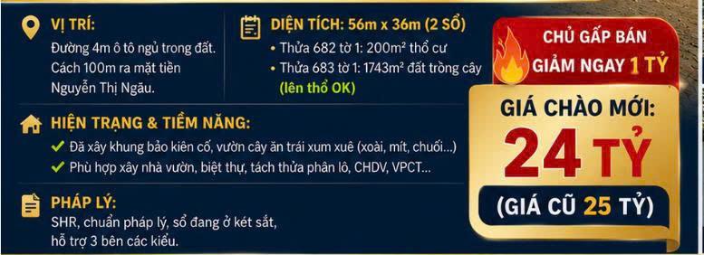 CHỦ GIẢM NGAY 1 TỶ – GIÁ CHÀO MỚI CHỈ 24 TỶ  ĐẤT VƯỜN 1/ BÙI THỊ LÙNG 1.943M²