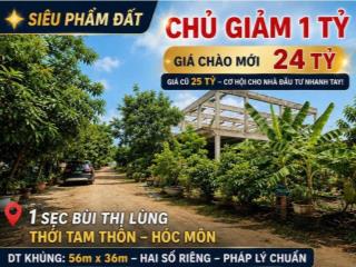 CHỦ GIẢM NGAY 1 TỶ – GIÁ CHÀO MỚI CHỈ 24 TỶ  ĐẤT VƯỜN 1/ BÙI THỊ LÙNG 1.943M²