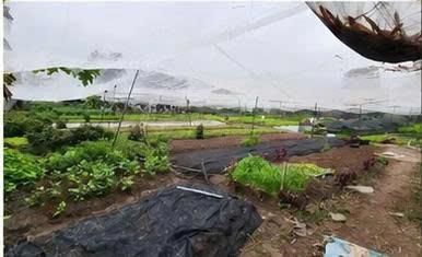 ĐẤT RỘNG 1.562M² – CHỈ 300M RA CHỢ HÓC MÔN – 300M² THỔ CƯ – GIÁ CHỈ 25,6 TỶ 🔥