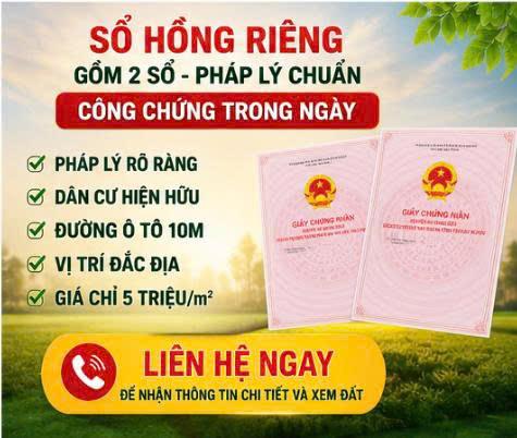 Bán Gấp Đất 18.000m² Nguyễn Văn Tạo, Nhà Bè – Gần Cảng Quốc Tế – Chỉ 5 Triệu/m²