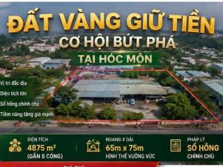 Kho xưởng 4875m2 Đặng Công Bỉnh, Xuân Thới Thượng, Hóc Môn. Bán gấp 55 tỷ!