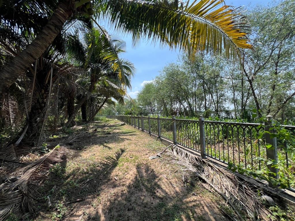 ĐẤT VEN SÔNG SOÀI RẠP LONG PHƯỚC Q9  4,5HA – MT 270M CHỈ 999 TỶ