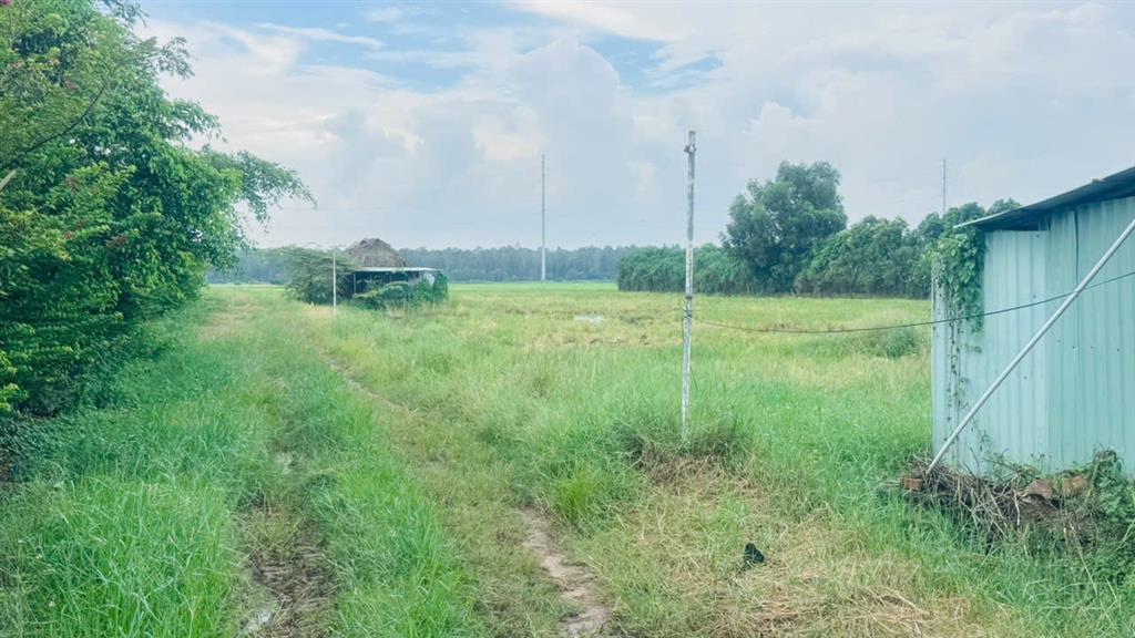 Bán gấp 9000m2 Đất NN Xuân Thới Thượng 2, Bà Điểm, Hóc Môn. 22.5 tỷ.