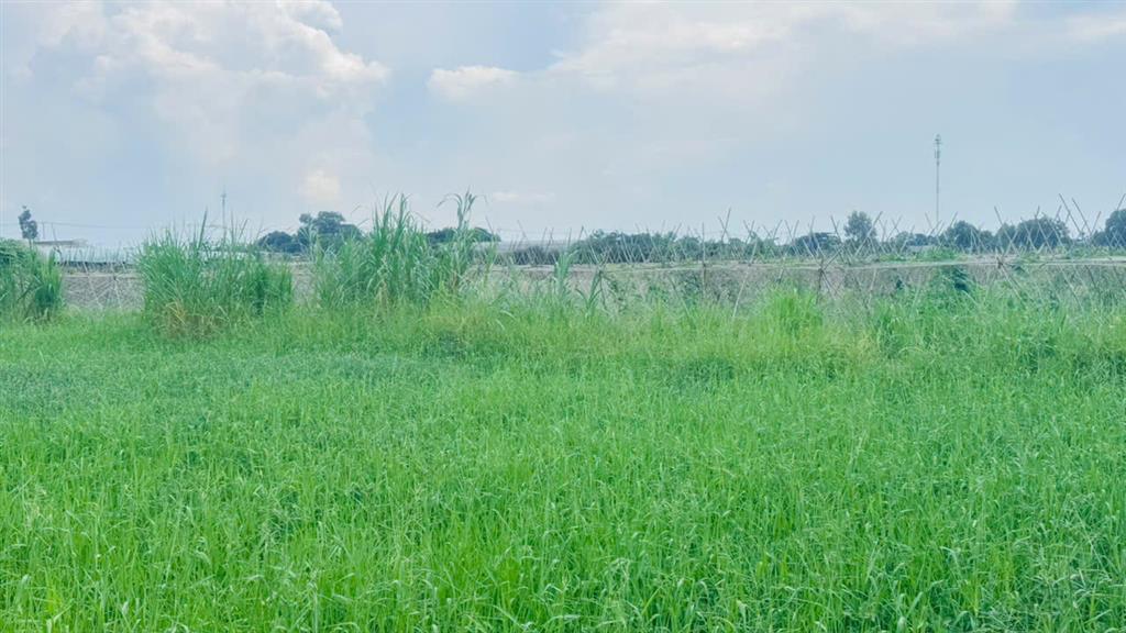 Bán gấp 9000m2 Đất NN Xuân Thới Thượng 2, Bà Điểm, Hóc Môn. 22.5 tỷ.