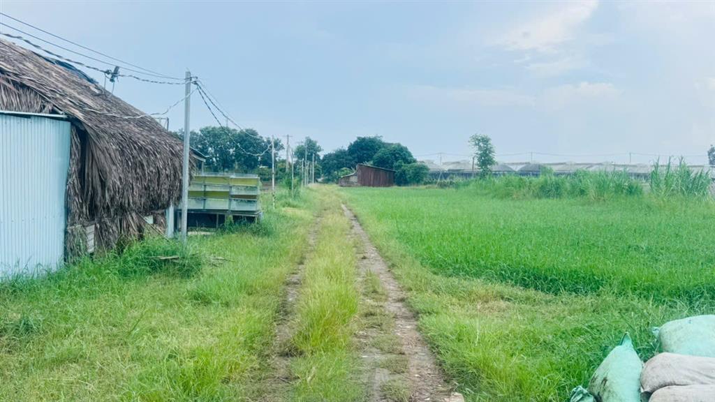 Bán gấp 9000m2 Đất NN Xuân Thới Thượng 2, Bà Điểm, Hóc Môn. 22.5 tỷ.