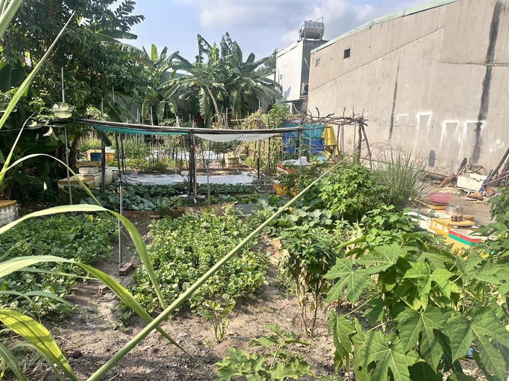 Đất phú hoà cũ, 164m2 có 100m2 thổ cư chính chủ gửi bán gấp đi nước ngoài