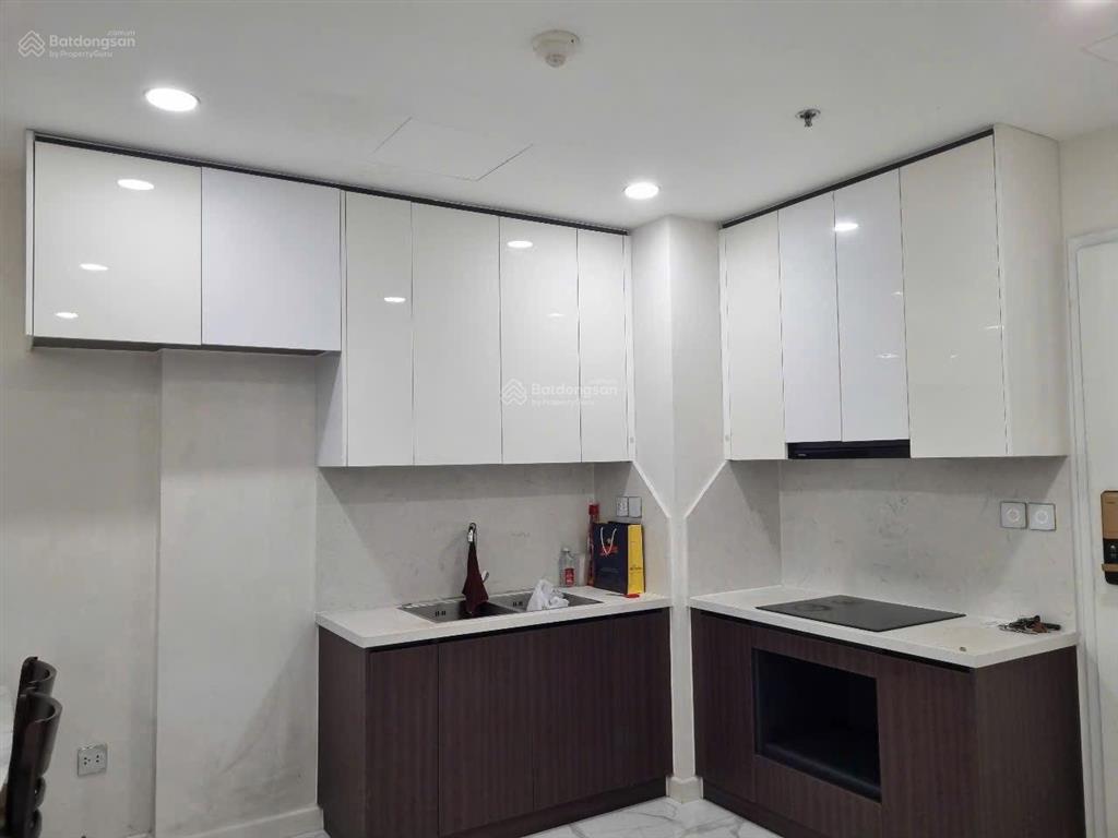 Bán căn hộ 2pn 75m2 full nội thất sunshine sky city q7, gần tuyến metro hcm  cần giờ