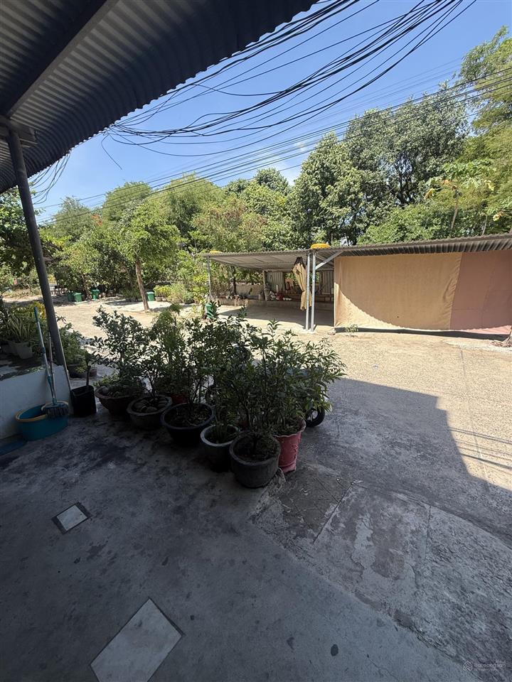 Chính chủ cần bán nhà phố ngay công viên diên hồng tuy hoà  4,5x18m 1 trệt 2 lầu sổ hồng đầy đủ