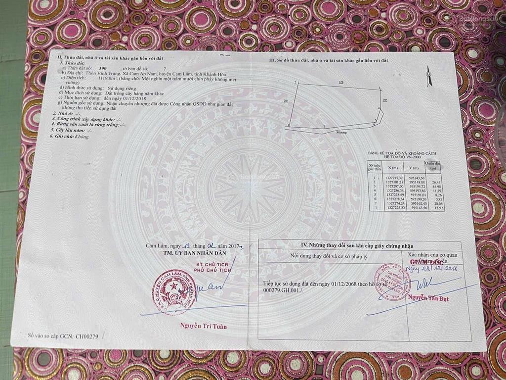 Siêu phẩm  cam an nam  1119 m2  giá chỉ 350 triệu