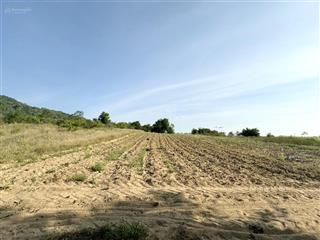 Cam an nam  1266m2  19 x 64m  giá chỉ 190 triệu  0961 481 ***